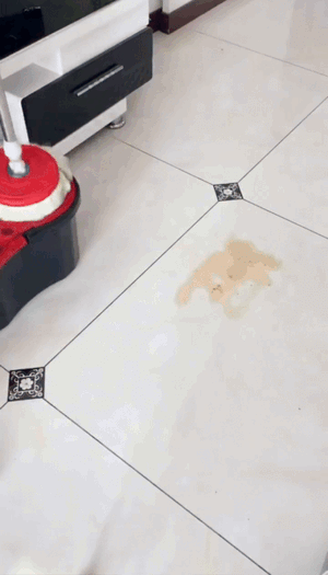 Spin Mop 360° – Adjustable Cleaning Mop with Bucket for Floors